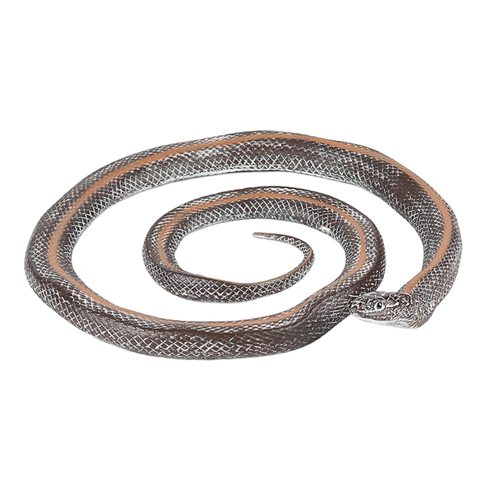 Simulation Fake  Photo Props Educational Durable Statue 17cm for Home