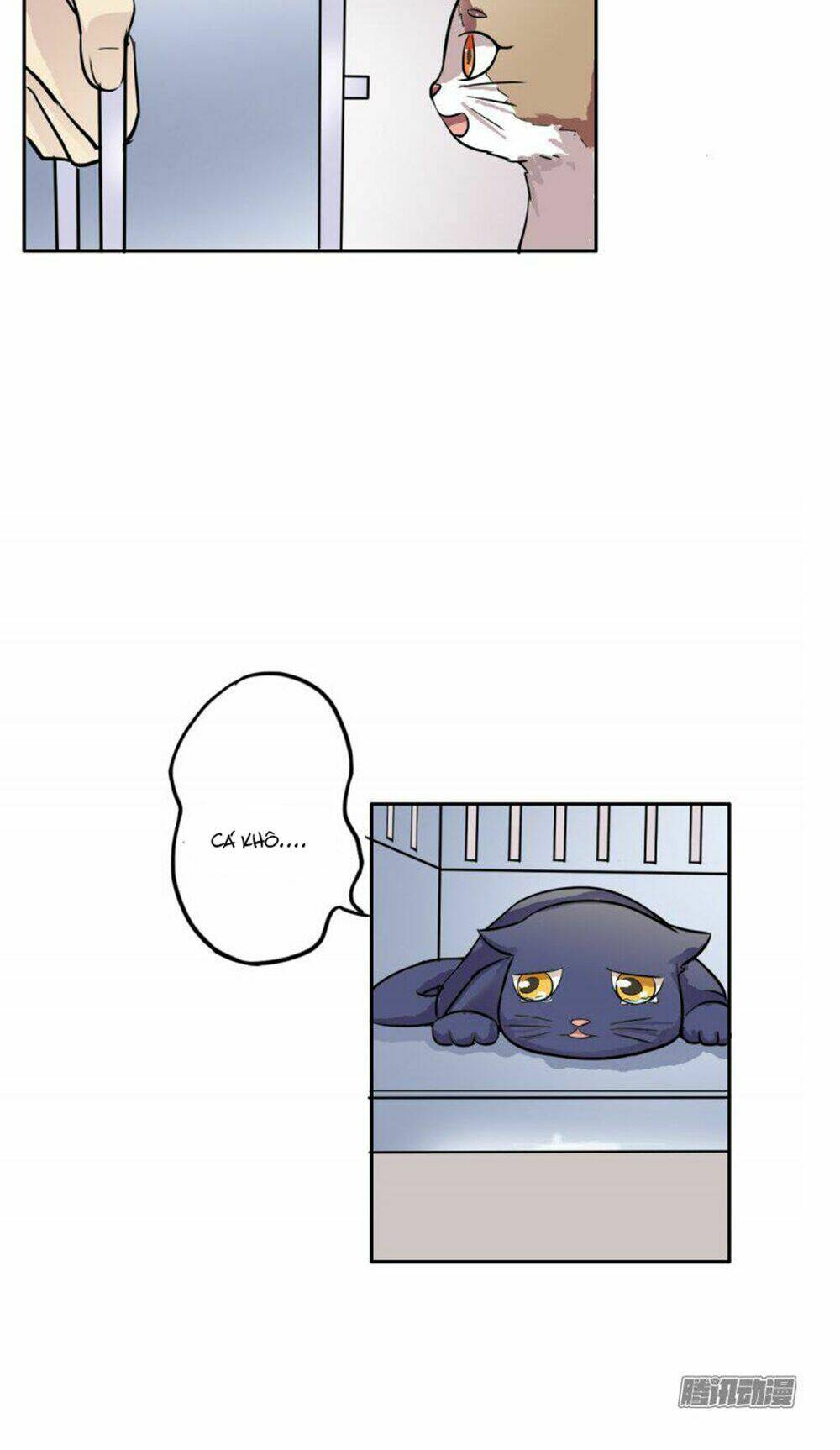 hai chú mèo totem chapter 4 18