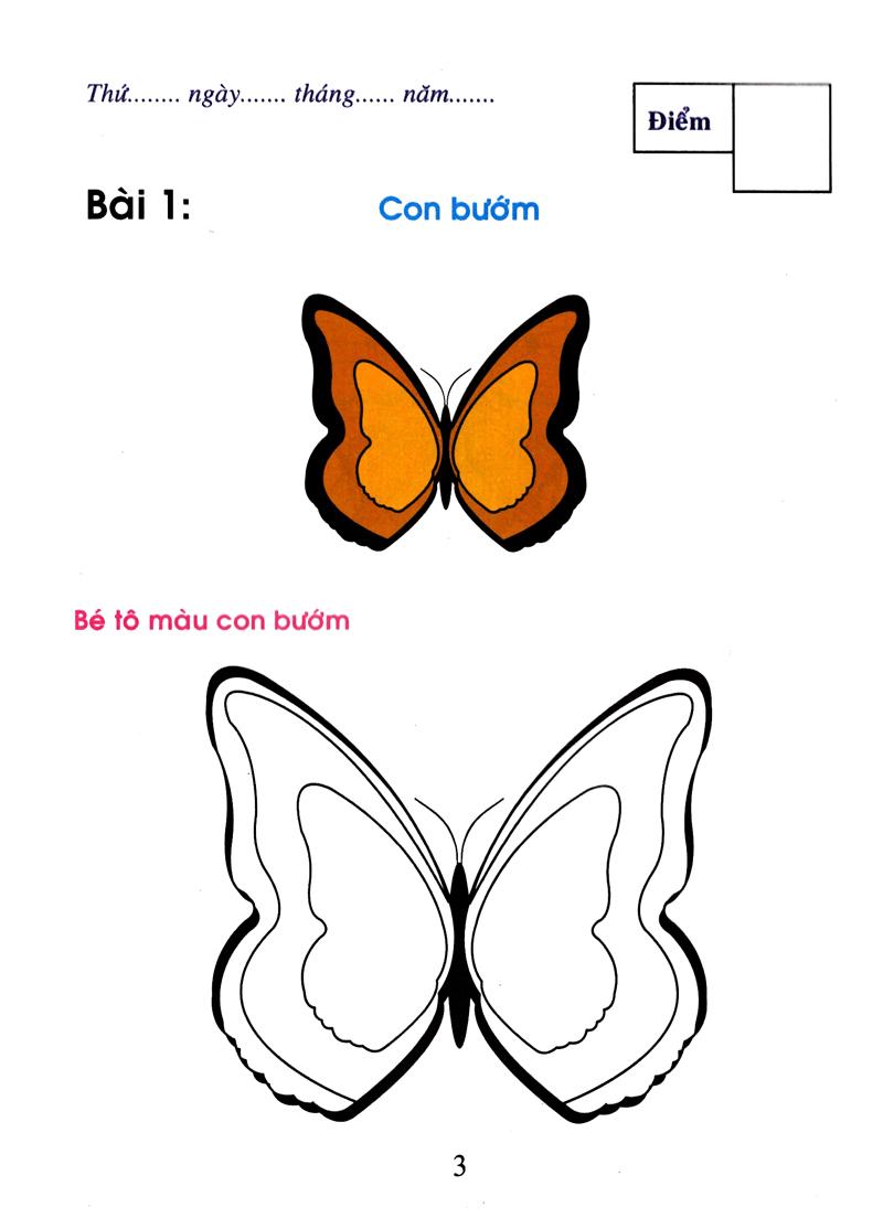 Bé tô màu & làm quen với môi trường- Côn trùng