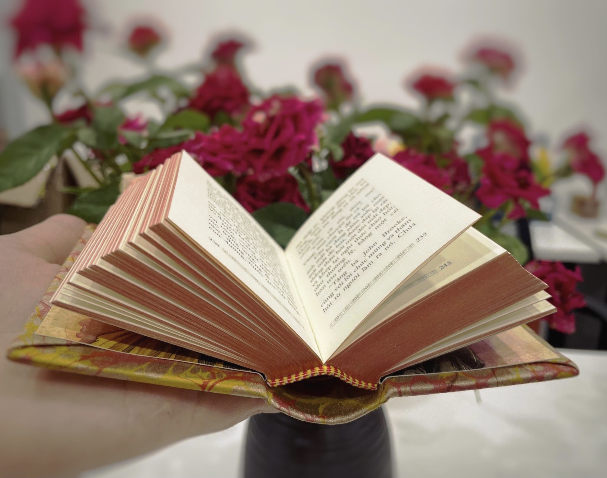 LITTLE WOMEN NHỮNG NGƯỜI PHỤ NỮ BÉ NHỎ - Phúc Minh Books