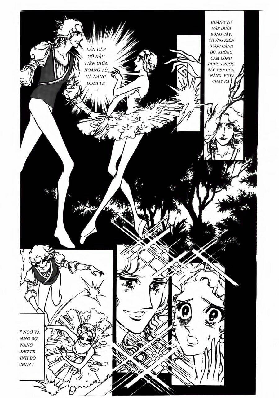 swan - vũ khúc thiên nga chapter 41 15