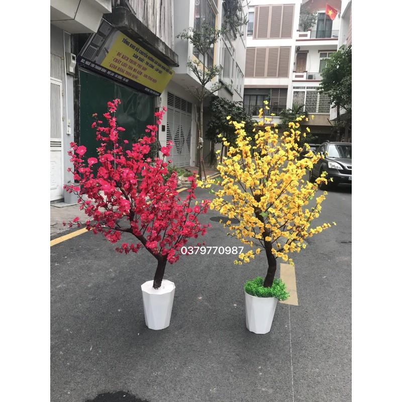 CHẬU CÂY HOÀN THIỆN - làm theo yêu cầu