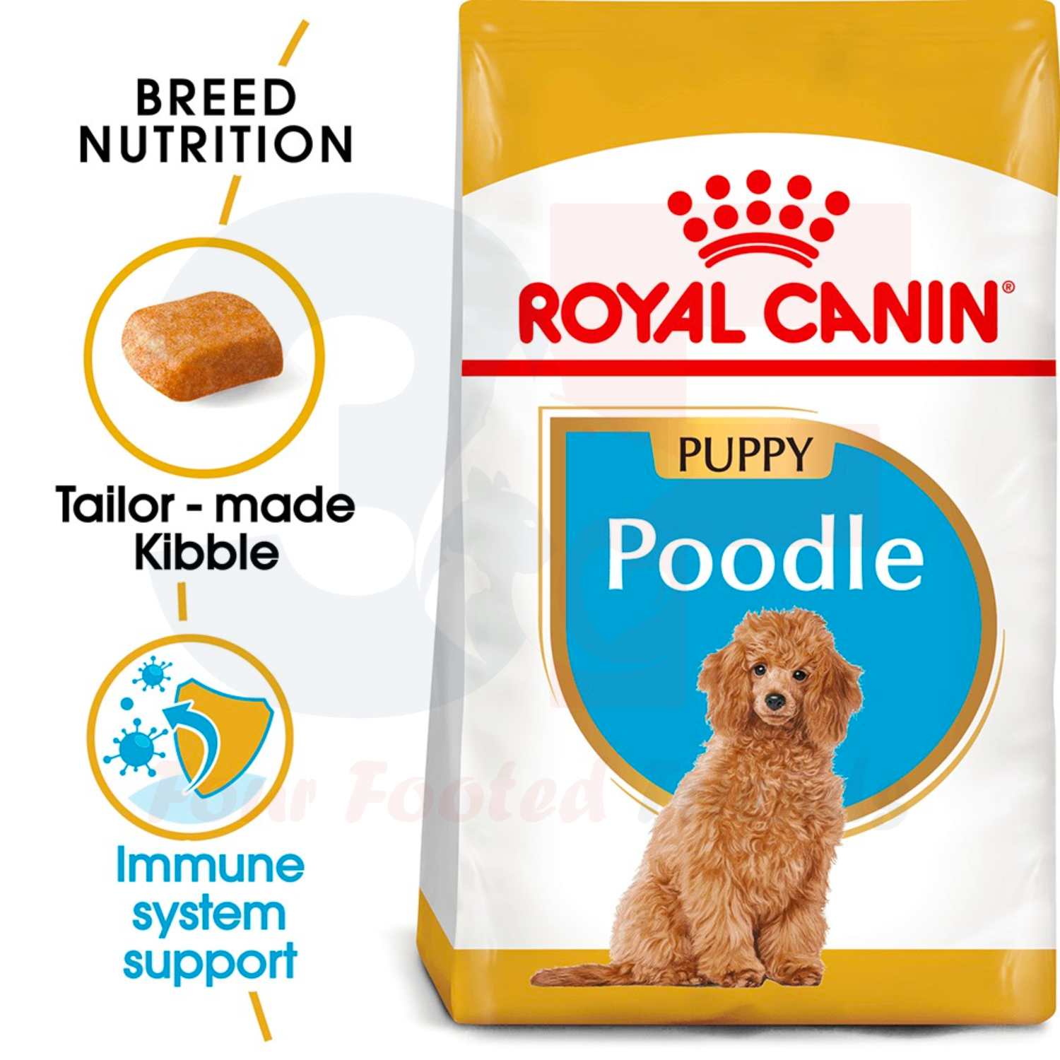 Thức Ăn Hạt Cho Chó Poodle Từ 2-10 Tháng Tuổi Royal Canin Poodle Junior