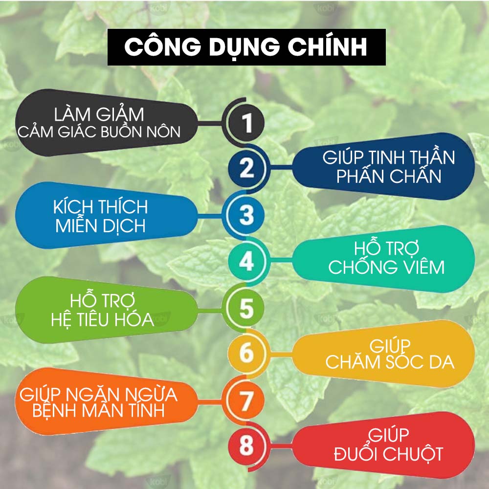 Tinh Dầu Bạc Hà Lục Kobi Nguyên Chất Dùng Xông Phòng, Giúp Đuổi Chuột, Khử Mùi Hiệu Quả