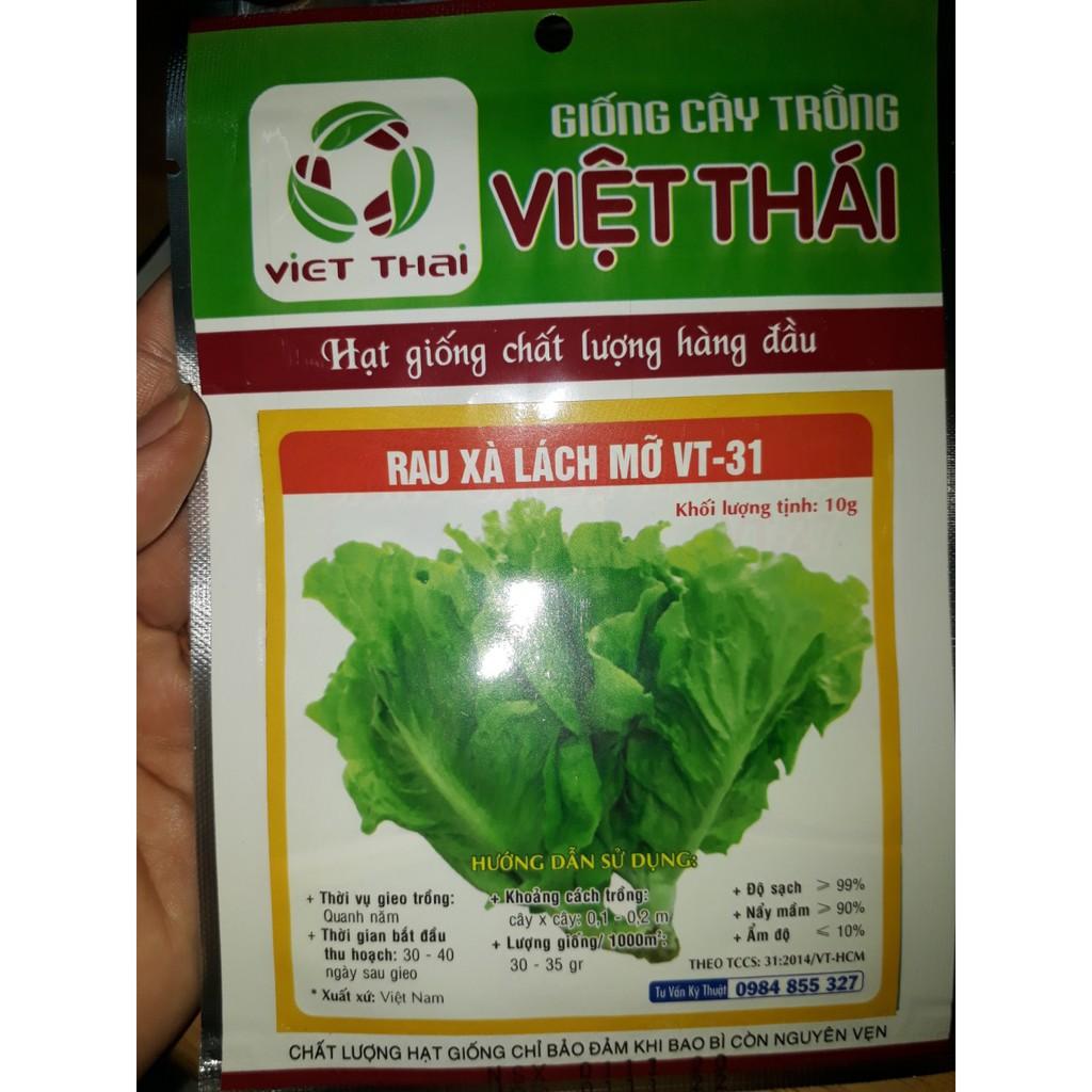 Hạt giống Xà Lách Mỡ, đóng gói 5gr, dễ trồng, năng suất cao