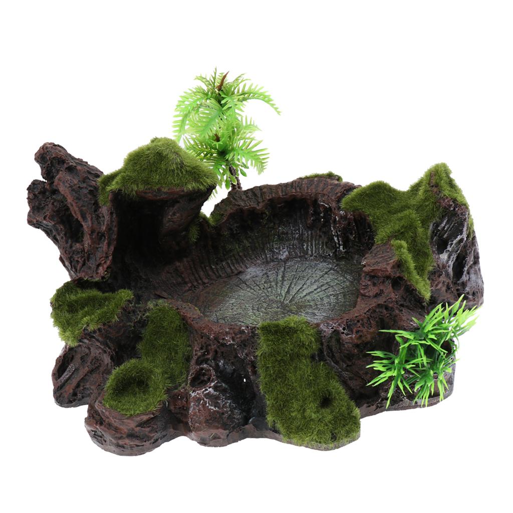 Nhựa Rock Bowl Bát Thức ăn Nước Cho đĩa Bể Chứa Terrarium
