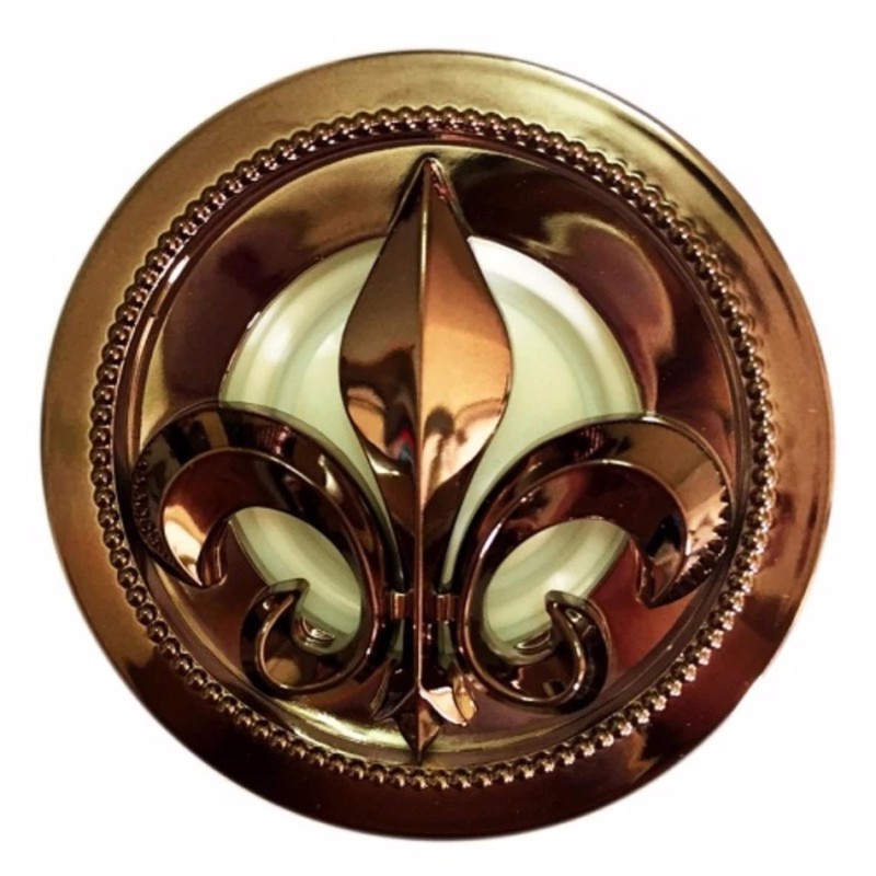Nước hoa làm thơm và khử mùi xe ô tô Hàn Quốc Florence Hương Autumn Gold