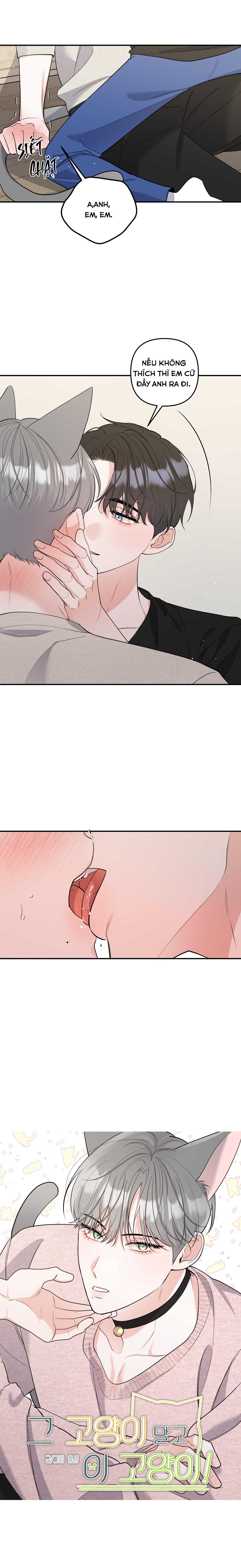 list truyện ngắn chịt chịt chapter 71 4