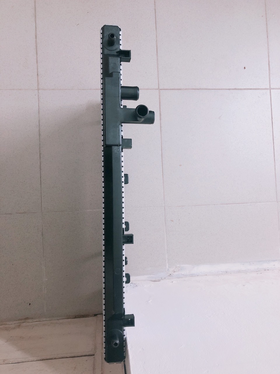 Két nước Dongben 870