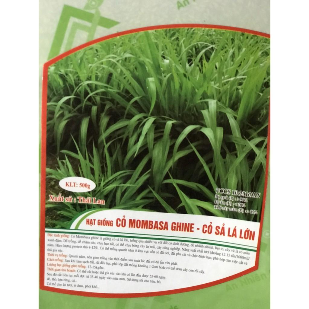 200g Hạt giống cỏ xả lá lớn mobasa ghine - gieo khoảng 150-160m2
