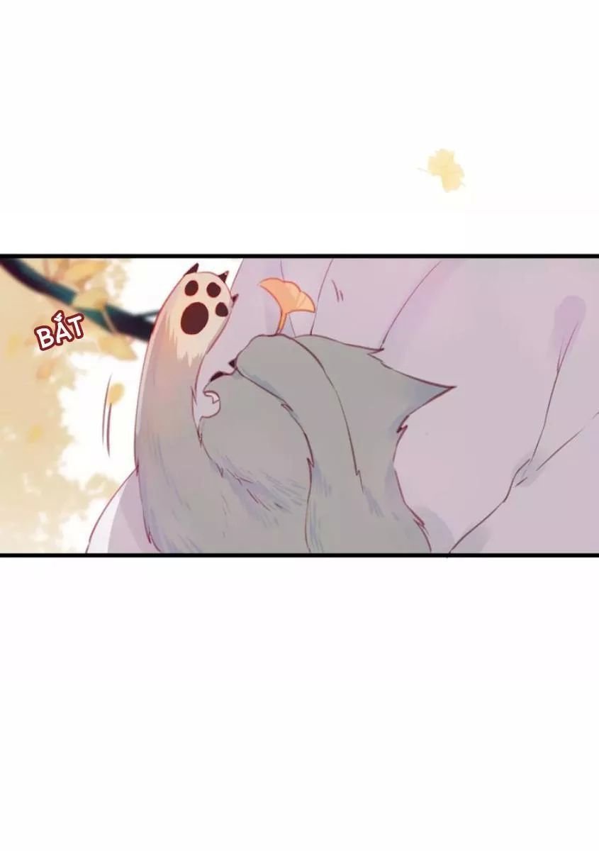 hồ minh chi hương chapter 9 43