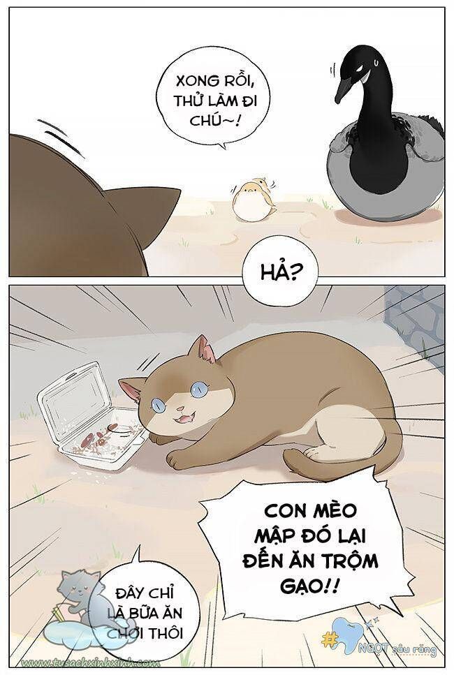 chim sẻ gọi ngỗng trời chapter 4 5