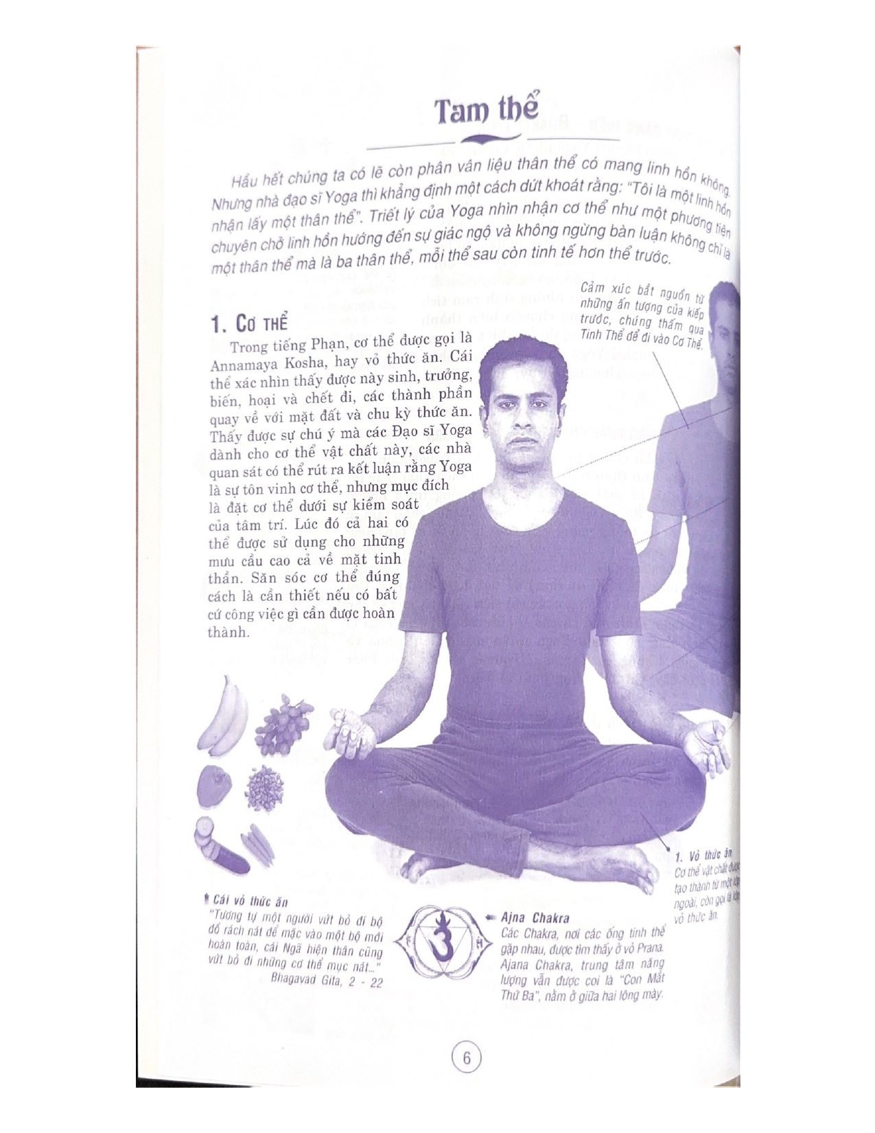 Hình ảnh Yoga Tinh Thần Và Thể Chất