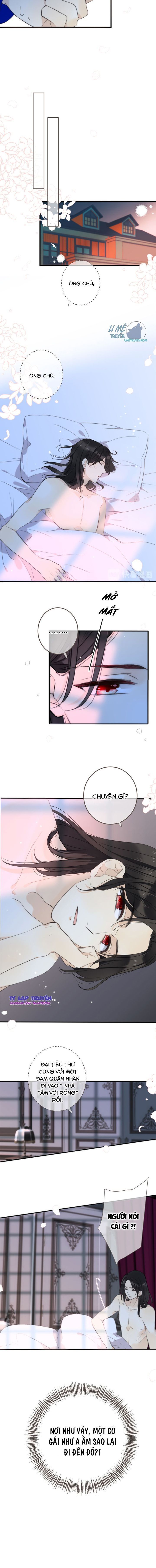 lại gặp nhau rồi, lâu tiểu thư chapter 11 9