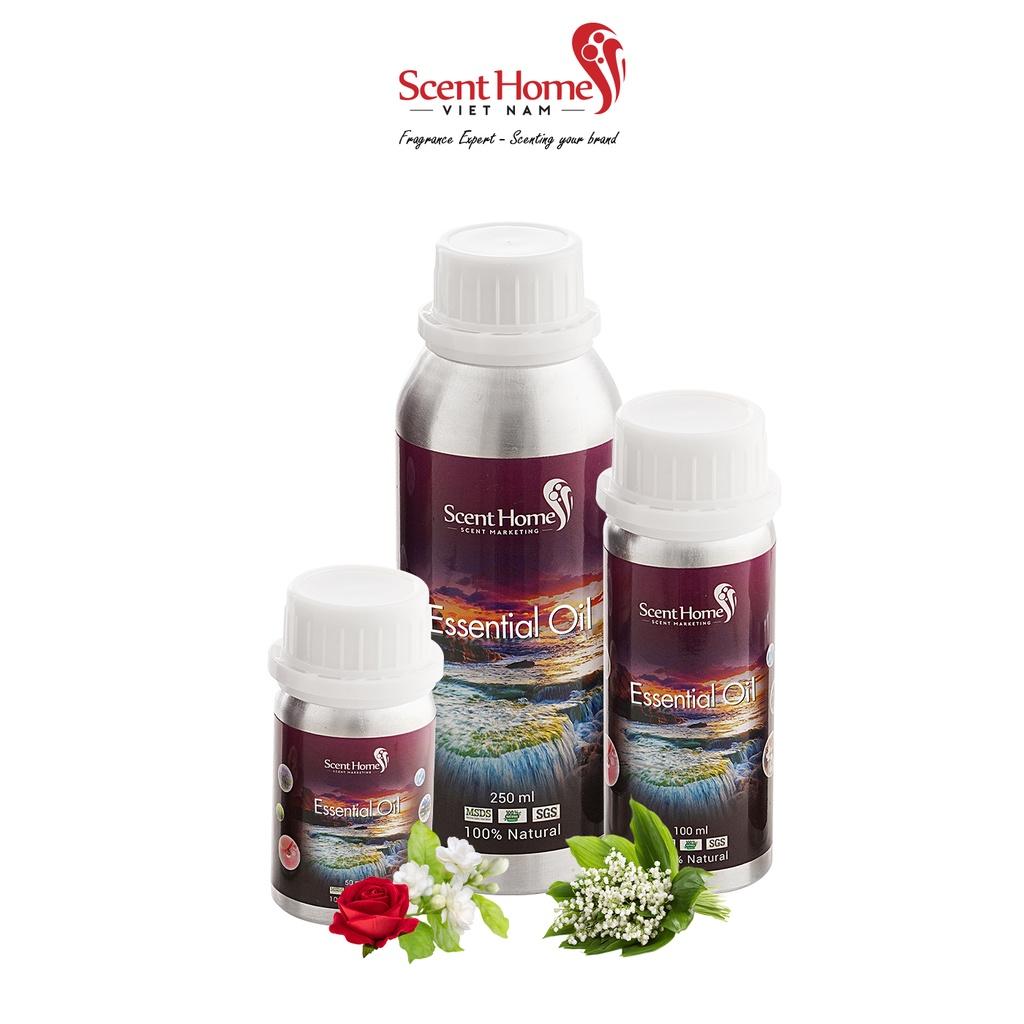 Tinh dầu Scent Homes - mùi hương