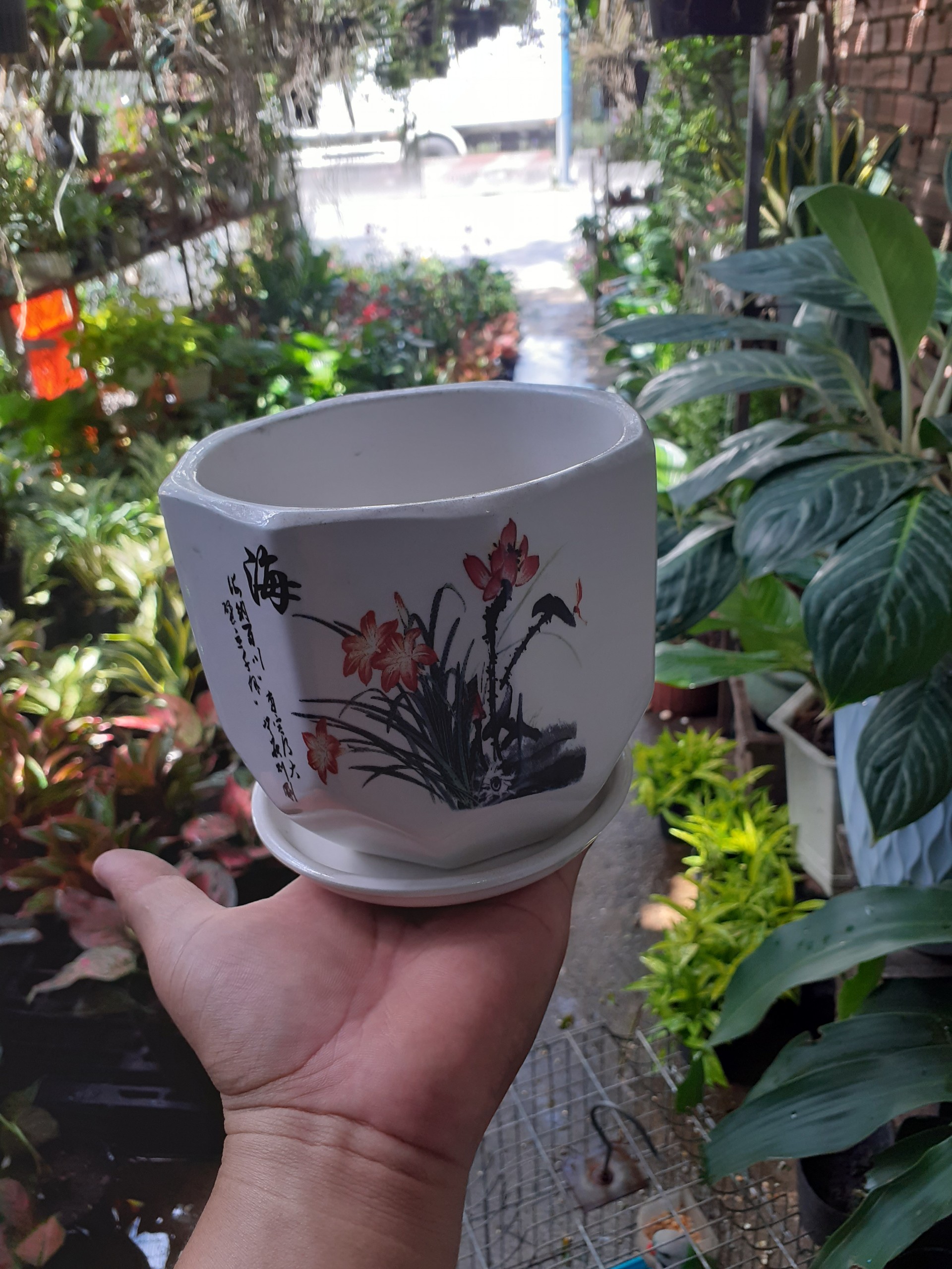 Chậu kèm dĩa BÁT GIÁC hoa