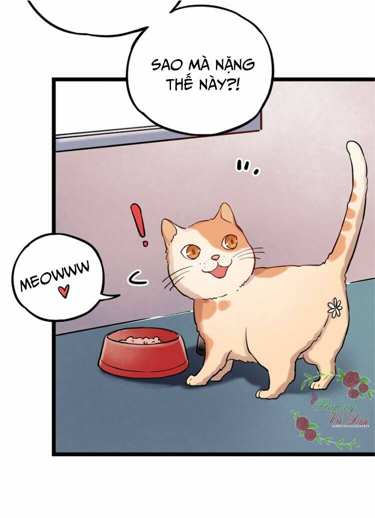 trạch thượng tịch mịch huỳnh hỏa chapter 3 89