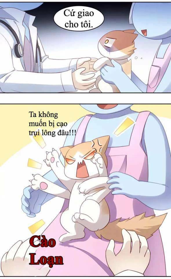 dưới móng vuốt mèo chapter 16 33