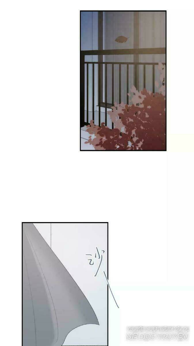 từ cái nhìn của em chapter 37 36