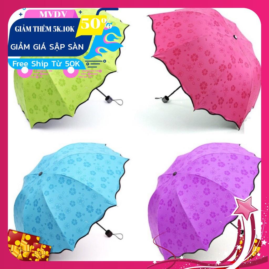 Dù đi mưa gặp nước tự động nở hoa nhiều màu