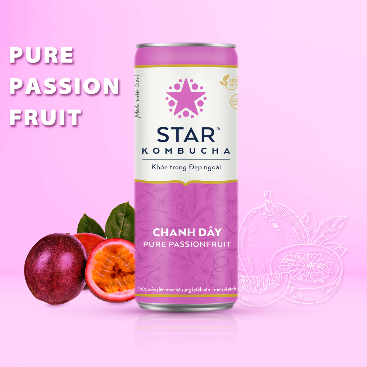 Thùng 12 lon thức uống lên men STAR KOMBUCHA Chanh Dây / Pure Passionfruit (250ml/lon)