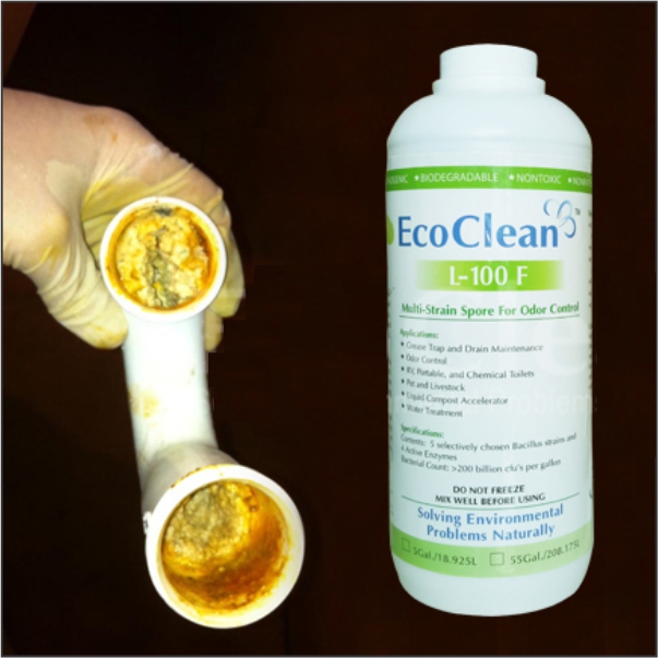 EcoClean FOG - Vi Sinh Xử Thông Tắc Dầu Mỡ, Bảo Trì Đường Ống, Hiệu Quả Lâu Dài - Tối ưu cho hộ gia đình - Chai 1L