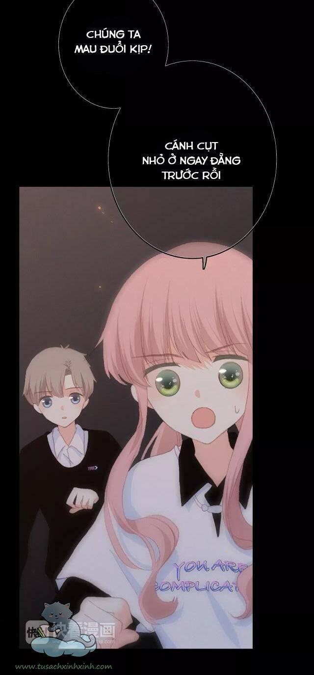 con tim rung động 2 chapter 65.2 47