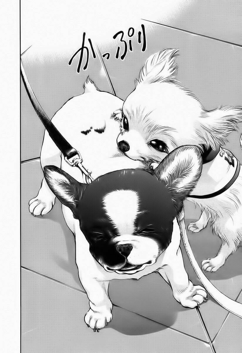 cô nàng yêu chó chapter 37 10