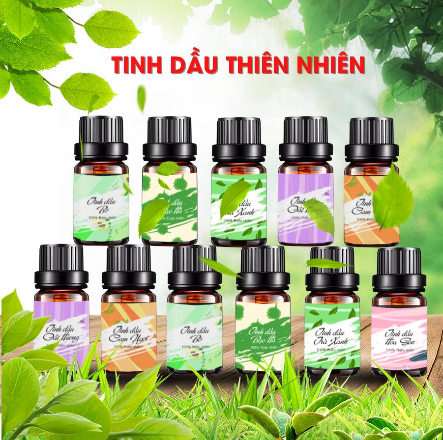 Tinh Dầu Gỗ Hồng Vina Oils 10ml - Rosewood Essential Oil 10ml -  Được Chiết Xuất Từ Thiên Nhiên Nguyên Chất - Mang Lại Cảm Giác An Tâm, Giảm Stress, Giúp Ngủ Ngon, Trẻ Hóa Làn Da Và Tăng Kích Thích Ham Muốn