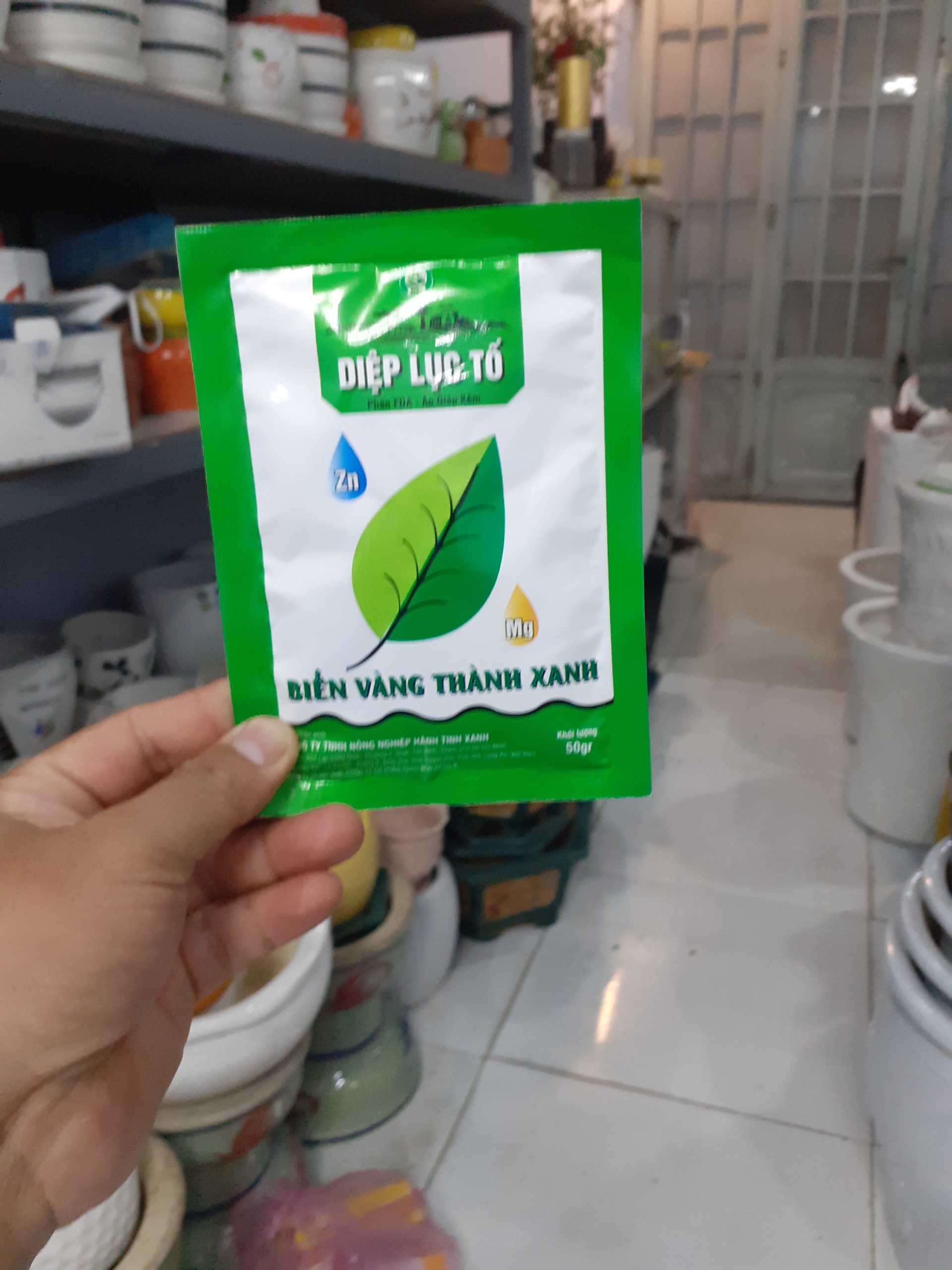 Tăng diệp lục tố biến vàng thành xanh