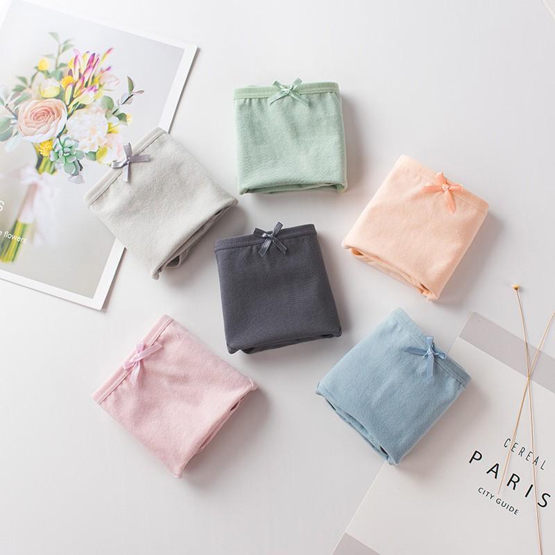 Quần Lót Cotton Basic Cạp Nơ QL31