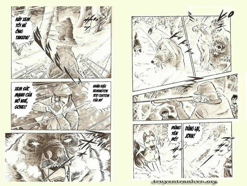 chú chó có nghĩa - ginga nagareboshi gin chapter 5 13