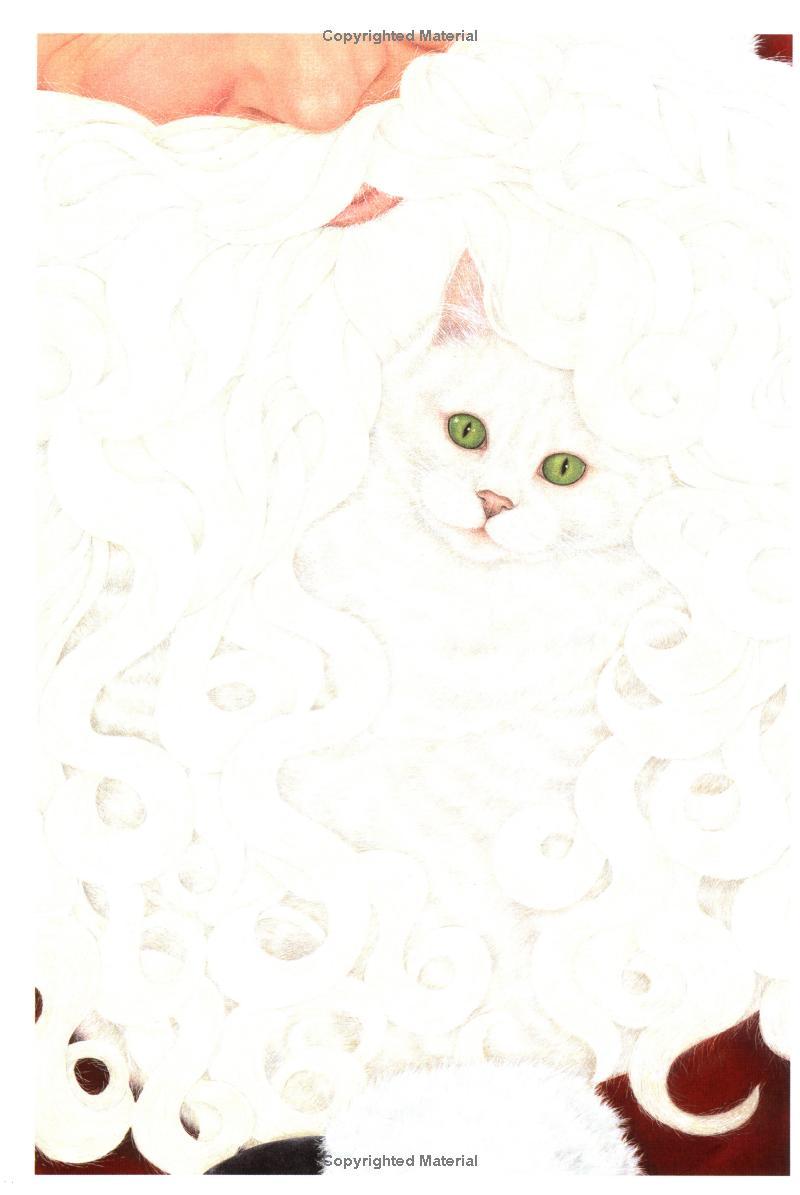 Sách ngoại văn: Santa Claus No Shiroi Neko