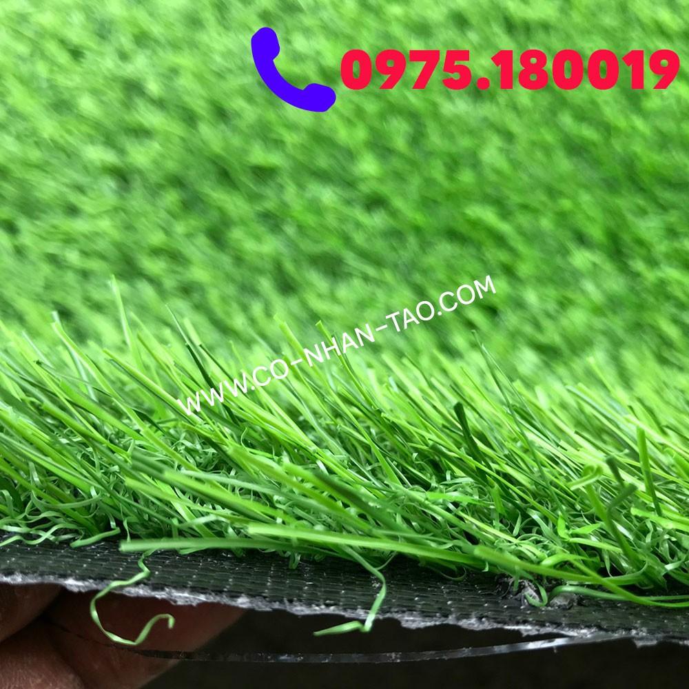 Thảm cỏ nhân tạo sân vườn 3cm chất lương cao | Cỏ nhân tạo SG