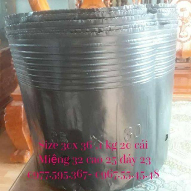 1kg bầu ươm 30x 36/ 21 cái