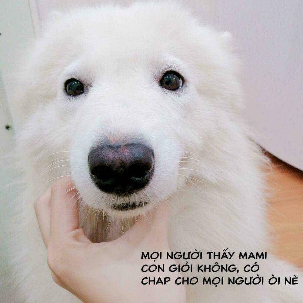 độc y đích nữ chapter 15 36