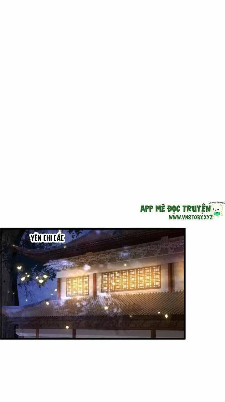 phượng hoàng vu phi chapter 84 18