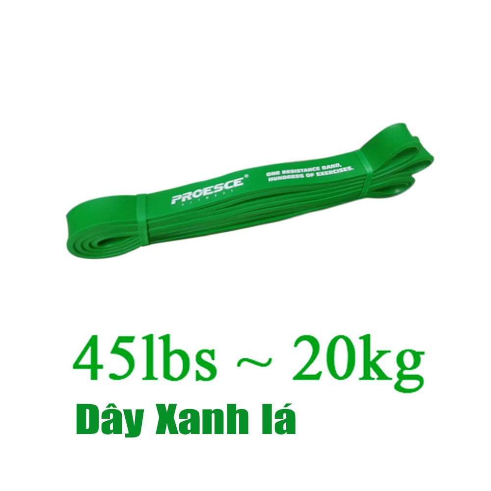 DÂY KHÁNG LỰC TẬP GYM POWERBAND CHÍNH HÃNG PROESCE HỖ TRỢ TẬP GYM, LÊN XÀ