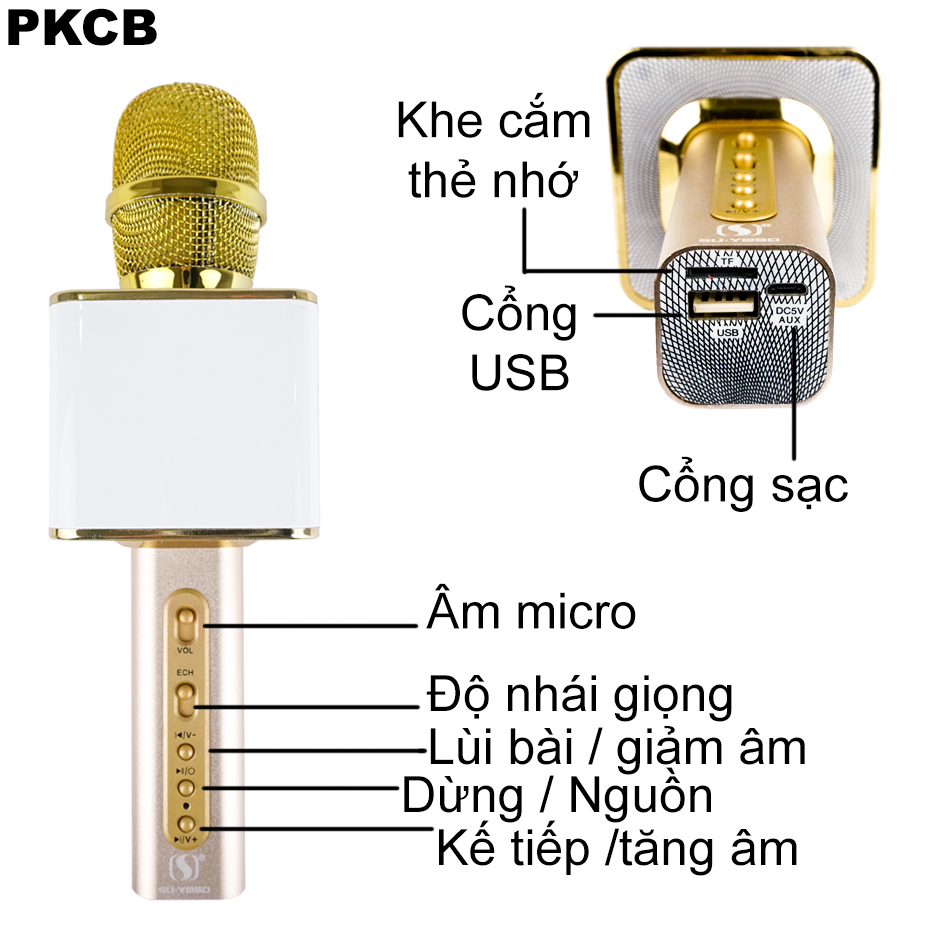 Micro Karaoke Bluetooth Chuyên Nghiệp Cho Giọng Hát Chất Lượng PKCB64 ROSE GOLD - Hàng Chính Hãng