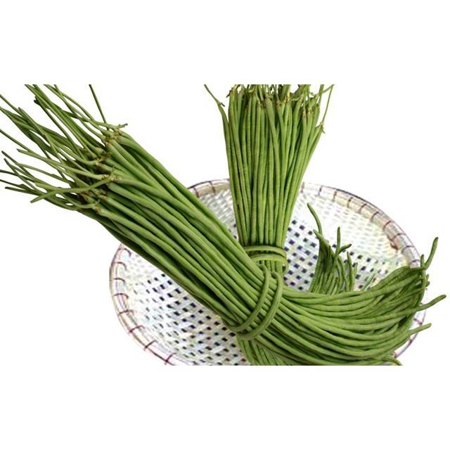 COMBO 7 loại hạt giống rau dễ trồng 4 mùa dễ trồng