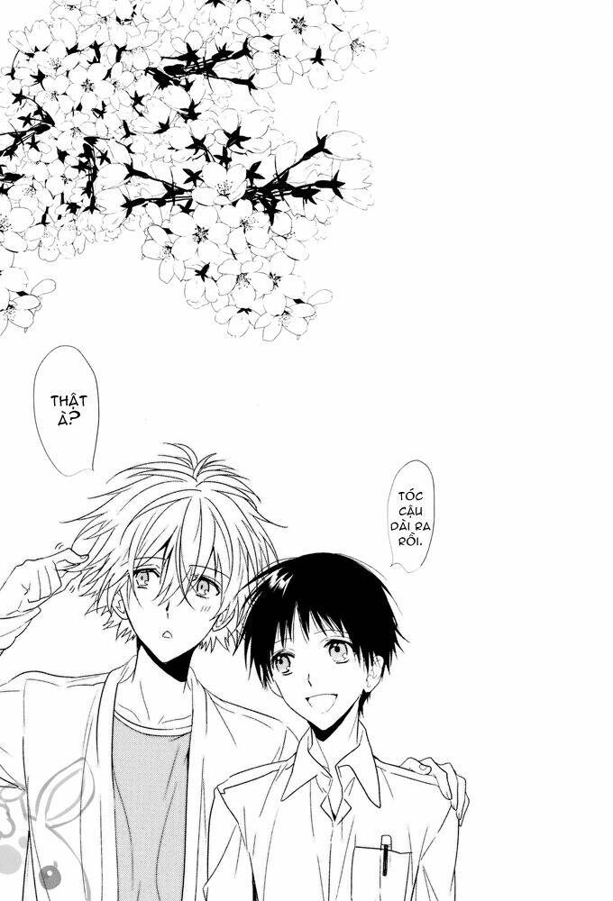 evangelion - mirai no tobira chapter 4 34