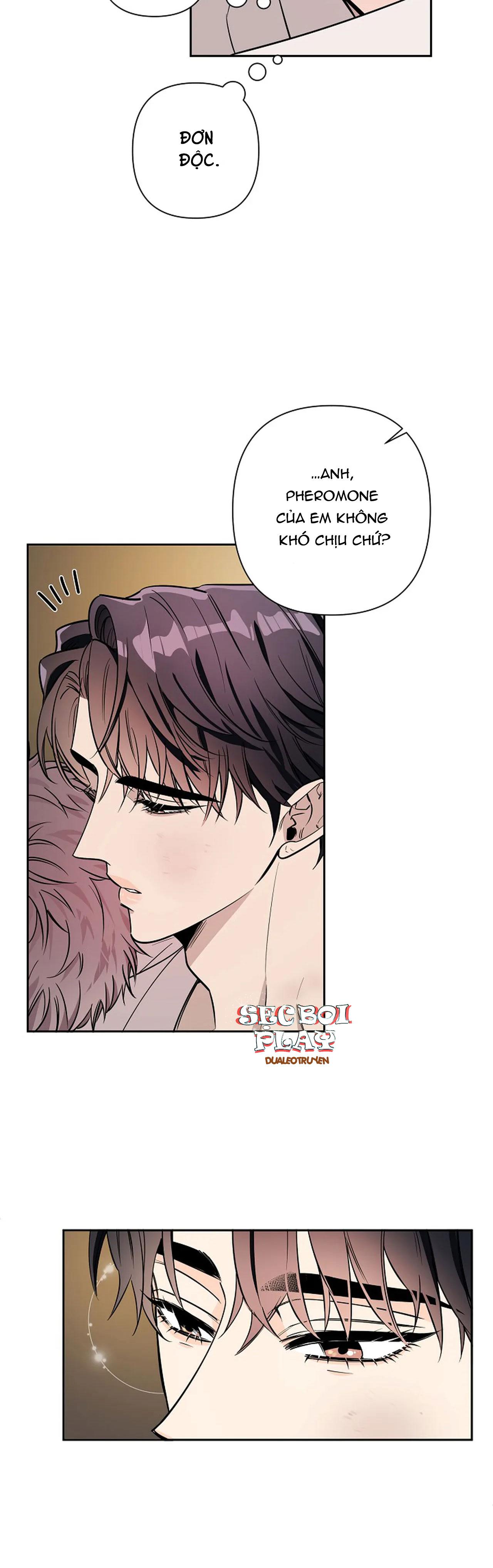 đêm dịu dàng chapter 21 24