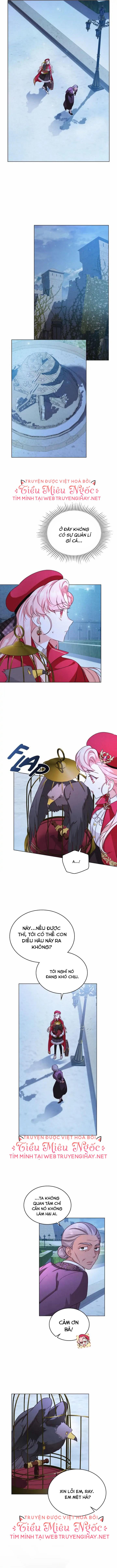 ánh sáng của bình minh chapter 11 3