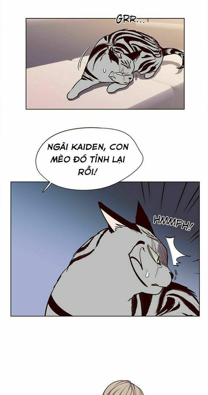 biến thân thành mèo chapter 10 15