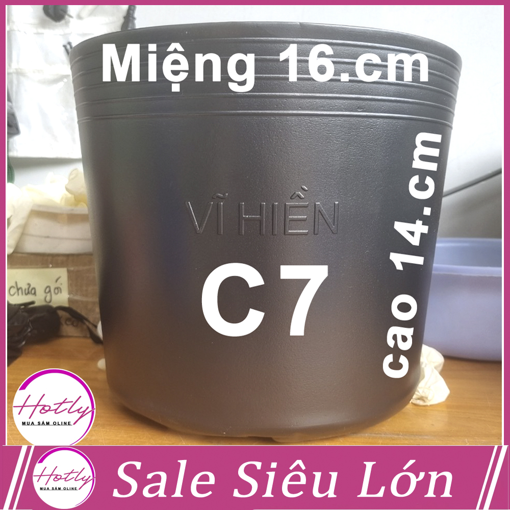 100 Chậu nhựa C7 16x13cm trồng cây ăn trái và hoabền 10 năm-77210