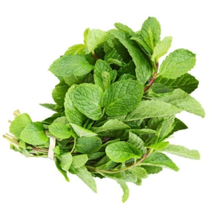 Hạt giống húng lủi HN08 HN gói 01gr