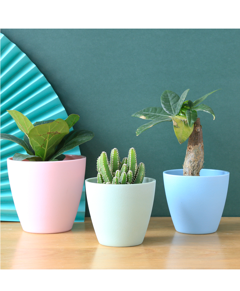 Chậu trồng cây mini MONROVIA cho sen đá, cây cảnh, hoa nhí, xương rồng, bonsai để bàn, ban công
