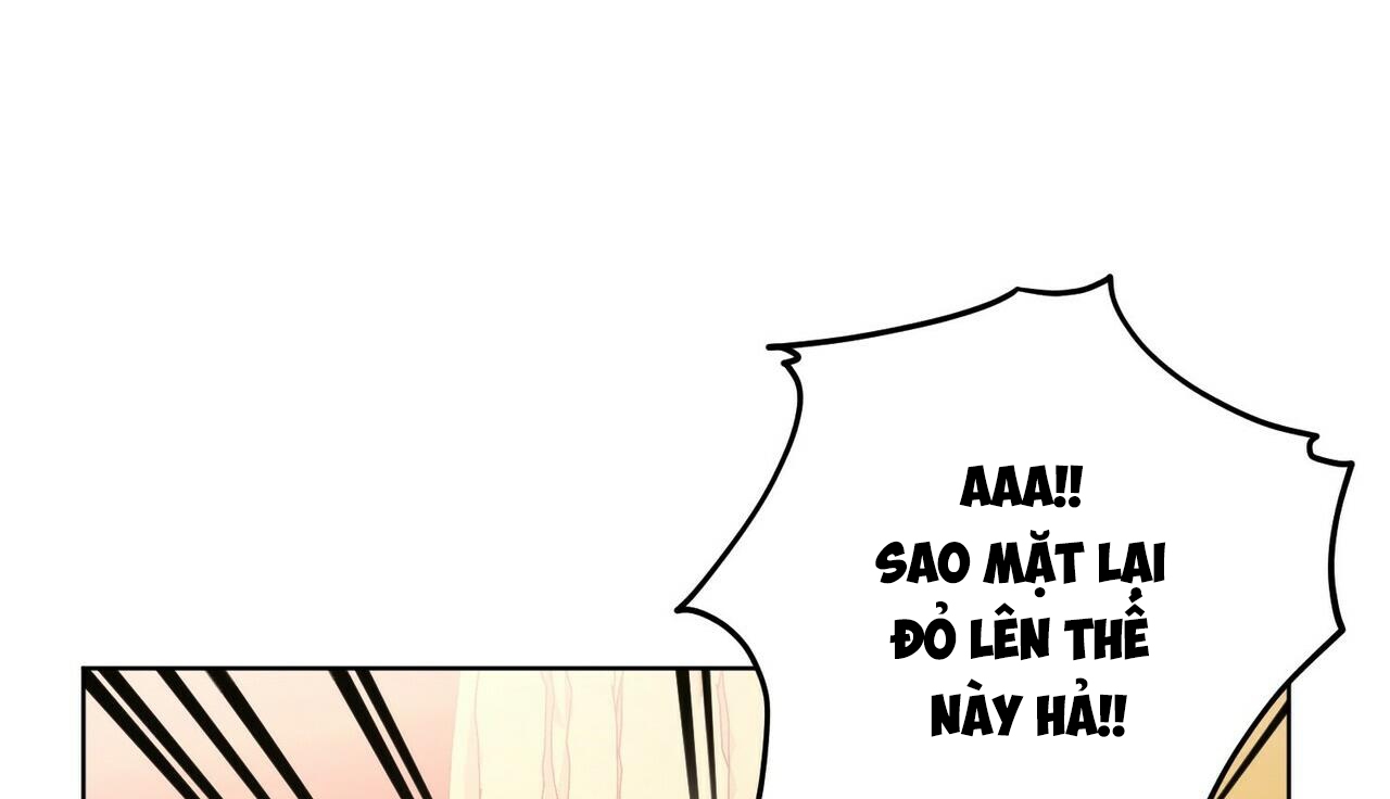 chàng dâu nhà họ kang chapter 24 23