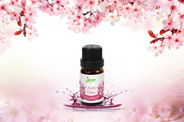 Combo 3 chai Tinh Dầu Leviter Gợi Cảm 10ml Hương Anh Đào, Sen Trắng, Lily giúp khử mùi, tăng sự gợi cảm cho không gian thơm mát