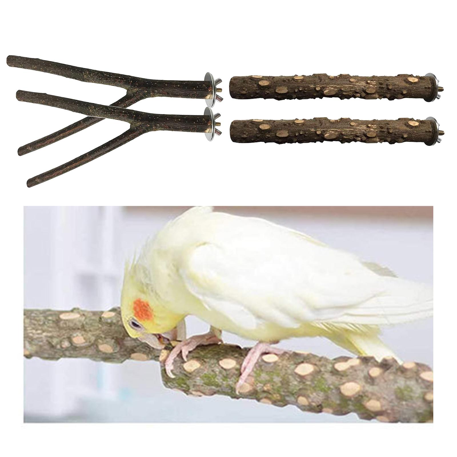 4 Pack Wooden Hanging Parrot Bird Stand Tree Branch Toys Perch Standing